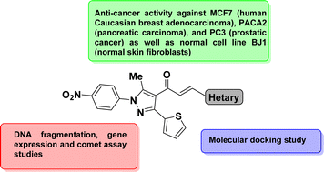 Graphical abstract: Synthesis, anticancer evaluation of novel hybrid pyrazole-based chalcones, molecular docking, DNA fragmentation, and gene expression: in vitro studies