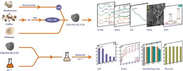 Graphical abstract: Engineering a sustainable cadmium sulfide/polyethyleneimine-functionalized biochar/chitosan composite for effective chromium adsorption: optimization, co-interfering anions, and mechanisms