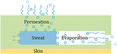Graphical abstract: Quantitative analysis of sweat evaporation loss in epidermal microfluidic patches