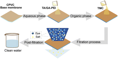 Graphical abstract: Preparation of a CPVC composite loose nanofiltration membrane based on plant polyphenols for effective dye wastewater treatment