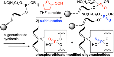 Graphical abstract: THF peroxide as a factor in generating desulphurised products from the solid-phase synthesis of phosphorothioate-modified oligonucleotides