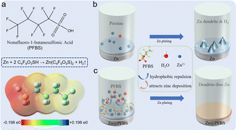 Graphical abstract: Perfluoro-1-butanesulfonic acid etching strategy for dendrite suppression in aqueous zinc metal batteries