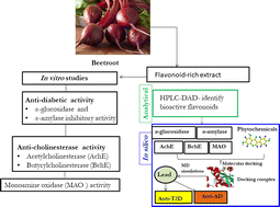 Graphical abstract: Exploring beetroot (Beta vulgaris L.) for diabetes mellitus and Alzheimer's disease dual therapy: in vitro and computational studies