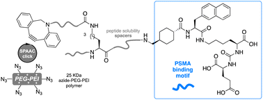 Graphical abstract: Towards a ‘clicked’ PSMA targeting gene delivery bioconjugate-polyplex for prostate cancer