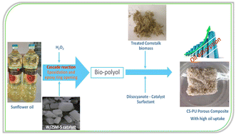 Graphical abstract: Cascade reaction for bio-polyol synthesis from sunflower oil over a W/ZSM-5 zeolite catalyst for the fabrication of a bio-polyurethane-based porous biocomposite with high oil uptake