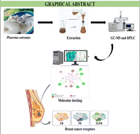 Graphical abstract: In silico evaluation of potential breast cancer receptor antagonists from GC-MS and HPLC identified compounds in Pleurotus ostreatus extracts