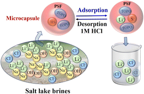 Graphical abstract: Highly efficient and stable adsorption of lithium from brine with microcapsules containing 1-phenylazo-2-naphthol and trioctylphosphine oxide
