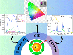 Graphical abstract: Optimizing white light emission in Dy(iii) complexes: impact of energy transfer from mono and bidentate ligands on luminescence