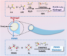 Graphical abstract: Design of a double-layered material as a long-acting moisturizing hydrogel–elastomer and its application in the field protection of elephant ivories excavated from the Sanxingdui Ruins