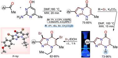 Graphical abstract: Microwave-assisted synthesis and functionalization of 2-arylimidazo[1,2-a]pyrimidin-5(8H)-ones