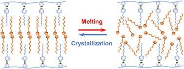 Graphical abstract: A stable and visualized fatty acid-based phase transition material constructed by solid-phase molecular self-assembly for thermal management