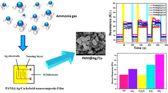 Graphical abstract: Ag/Cu doped polyaniline hybrid nanocomposite-based novel gas sensor for enhanced ammonia gas sensing performance at room temperature