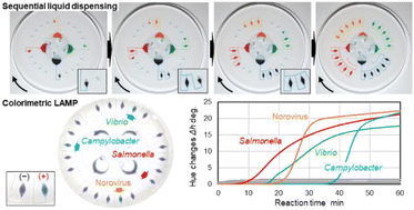 Graphical abstract: A sequential liquid dispensing method in a centrifugal microfluidic device operating at a constant rotational speed for the multiplexed genetic detection of foodborne pathogens