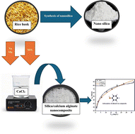 Graphical abstract: Fabrication of silica/calcium alginate nanocomposite based on rice husk ash for efficient adsorption of phenol from water