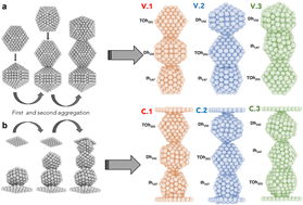 Graphical abstract: Hierarchical self-assembly of Au-nanoparticles into filaments: evolution and break
