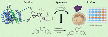 Graphical abstract: Design, synthesis, and exploration of antibacterial activity of 6H-1,2-oxazin-6-ones