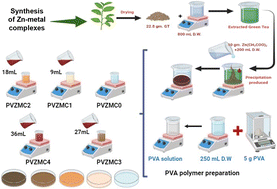 Graphical abstract: Zinc metal complexes synthesized by a green method as a new approach to alter the structural and optical characteristics of PVA: new field for polymer composite fabrication with controlled optical band gap