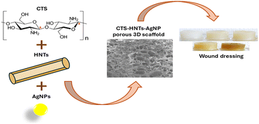 Graphical abstract: Development and characterization of three-dimensional antibacterial nanocomposite sponges of chitosan, silver nanoparticles and halloysite nanotubes