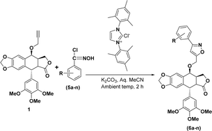 Graphical abstract: Organo NHC catalyzed aqueous synthesis of 4β-isoxazole-podophyllotoxins: in vitro anticancer, caspase activation, tubulin polymerization inhibition and molecular docking studies