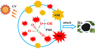 Graphical abstract: Degradation of humic acid by UV/PMS: process comparison, influencing factors, and degradation mechanism