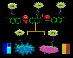 Graphical abstract: Development of an assay for colorimetric and fluorometric detection of H2S