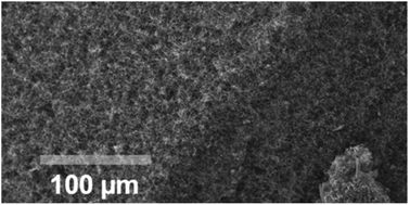 Graphical abstract: Buckypaper made with carbon nanotubes derived from CO2