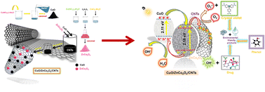 Graphical abstract: Fabrication of a highly efficient CuO/ZnCo2O4/CNTs ternary composite for photocatalytic degradation of hazardous pollutants