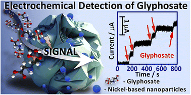 Graphical abstract: Crumpled graphene fully decorated with nickel-based nanoparticles applied in glyphosate detection