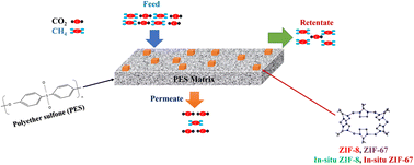 Graphical abstract: Study of mixed matrix membranes with in situ synthesized zeolite imidazolate frameworks (ZIF-8, ZIF-67) in polyethersulfone polymer for CO2/CH4 separation
