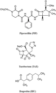 Graphical abstract: Development of an eco-friendly capillary electrophoresis method for the simultaneous determination of piperacillin, tazobactam and ibuprofen in plasma samples: application to a pharmacokinetic study in rats