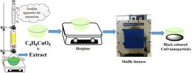 Graphical abstract: CuO nanoparticles: green combustion synthesis, applications to antioxidant, photocatalytic and sensor studies