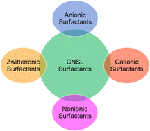 Graphical abstract: A comprehensive review on sustainable surfactants from CNSL: chemistry, key applications and research perspectives