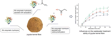 Graphical abstract: Effects of mixed enzymolysis alone or combined with acetylation or carboxymethylation on the role of jujube kernel fibre as a biosorbent for wastewater treatment