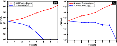 Graphical abstract: Recovery of copper/carbon matrix nanoheteroarchitectures from recyclable electronic waste and their efficacy as antibacterial agents