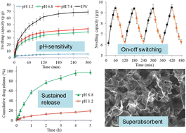 Graphical abstract: A superporous and pH-sensitive hydrogel from Salvia hispanica (chia) seeds: stimuli responsiveness, on–off switching, and pharmaceutical applications