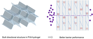 Graphical abstract: High ion barrier hydrogel with excellent toughness achieved by directional structures