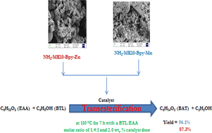 Graphical abstract: Metal-bipyridine supported on 3-aminopropyl-functionalized MK10: effect of a metalating agent on the catalytic activity in the transesterification of β-keto ester
