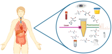 Graphical abstract: Development of an ultra-sensitive laser stimulated fluorescence system for simultaneous detection of amino acids