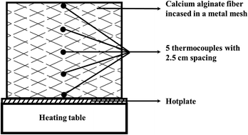 Graphical abstract: Effect of density on the smoldering of calcium alginate fibers