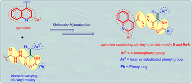 Graphical abstract: Design, synthesis, and antiproliferative screening of new quinoline derivatives bearing a cis-vinyl triamide motif as apoptosis activators and EGFR-TK inhibitors