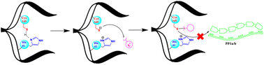 Graphical abstract: Development of a new experimental NMR strategy for covalent cysteine protease inhibitors screening: toward enhanced drug discovery