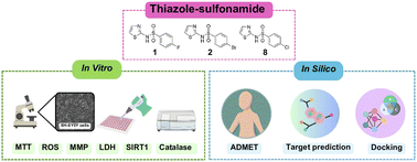 Graphical abstract: Neuroprotective thiazole sulfonamides against 6-OHDA-induced Parkinsonian model: in vitro biological and in silico pharmacokinetic assessments