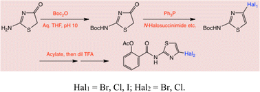 Graphical abstract: Convenient syntheses of 2-acylamino-4-halothiazoles and acylated derivatives using a versatile Boc-intermediate