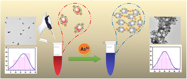 Graphical abstract: Chitosan-stabilized gold nanoparticles decorated with a thiodiacetic acid nanoprobe for selective detection of arsenic(iii) in rice and water samples