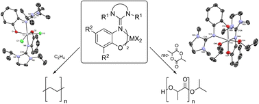 Graphical abstract: Ti and Zr complexes bearing guanidine-phenolate ligands: coordination chemistry and polymerization studies