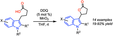 Graphical abstract: DDQ catalyzed oxidative lactonization of indole-3-butyric acids
