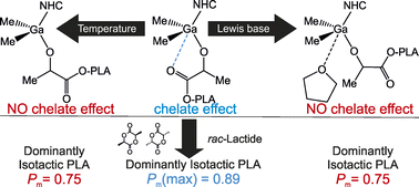Graphical abstract: Enhancing the stereoselectivity of Me2GaOR(NHC) species in the ring-opening polymerization of rac-lactide, with the help of the chelation effect