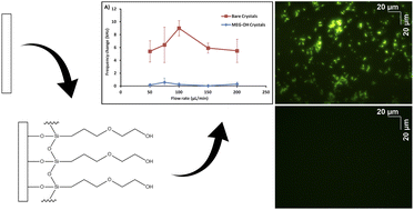 Graphical abstract: Interaction of Staphylococcus aureus and Candida albicans with surface-modified silica studied by ultra-high frequency acoustic wave biosensor