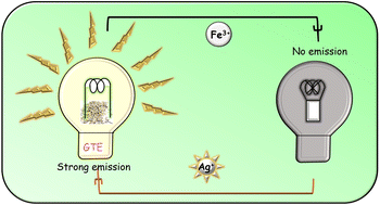 Graphical abstract: Novel environmental applications of green tea: sensing and remediation of Ag+ in aqueous system