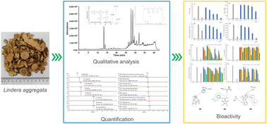 Graphical abstract: Characterization and quantification of the phytochemical constituents and anti-inflammatory properties of Lindera aggregata
